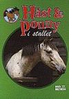 Häst & Ponny: I stallet