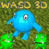 WASD 3D