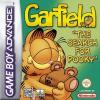 Garfield: The Search For Pooky